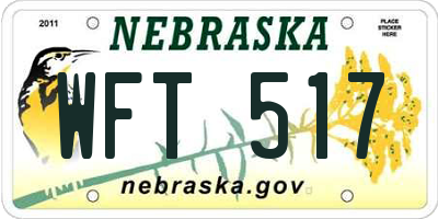 NE license plate WFT517