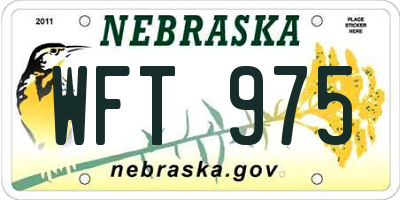 NE license plate WFT975