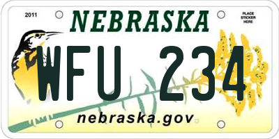 NE license plate WFU234