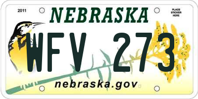 NE license plate WFV273