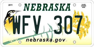 NE license plate WFV307