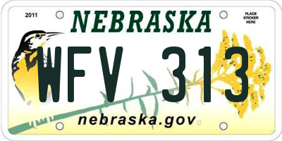 NE license plate WFV313