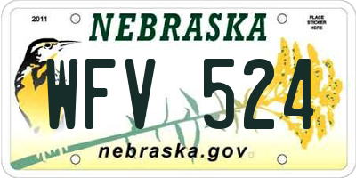 NE license plate WFV524