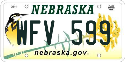 NE license plate WFV599