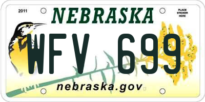 NE license plate WFV699