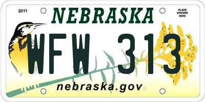 NE license plate WFW313