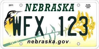 NE license plate WFX123