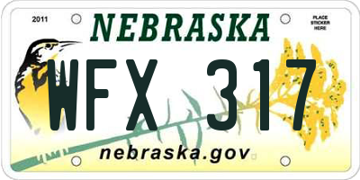 NE license plate WFX317