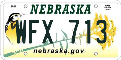 NE license plate WFX713