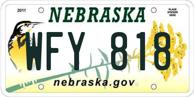 NE license plate WFY818