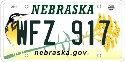 NE license plate WFZ917