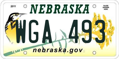 NE license plate WGA493