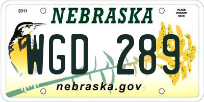NE license plate WGD289