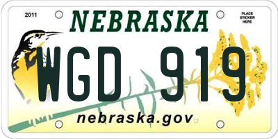 NE license plate WGD919