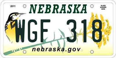 NE license plate WGF318