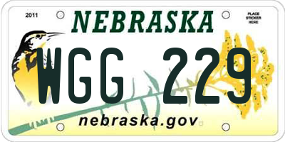NE license plate WGG229