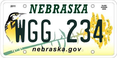 NE license plate WGG234