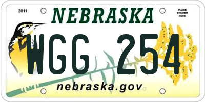 NE license plate WGG254