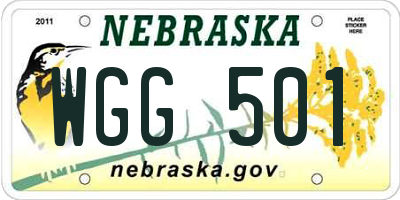 NE license plate WGG501