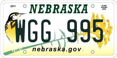 NE license plate WGG995