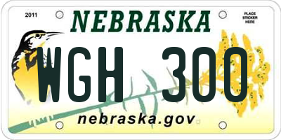 NE license plate WGH300