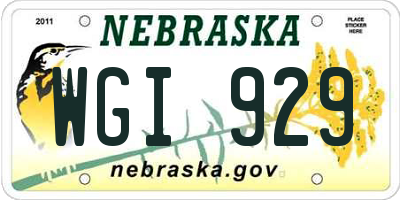 NE license plate WGI929