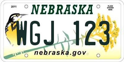 NE license plate WGJ123