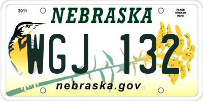NE license plate WGJ132