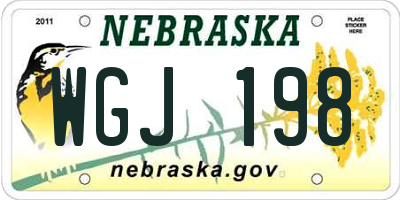 NE license plate WGJ198