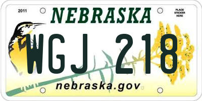 NE license plate WGJ218