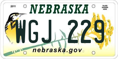 NE license plate WGJ229
