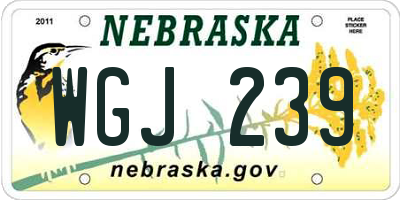 NE license plate WGJ239