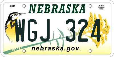 NE license plate WGJ324