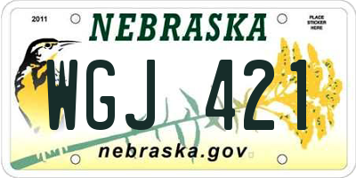 NE license plate WGJ421