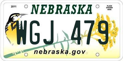 NE license plate WGJ479