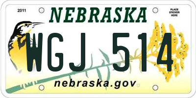 NE license plate WGJ514