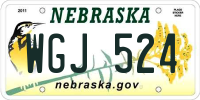 NE license plate WGJ524