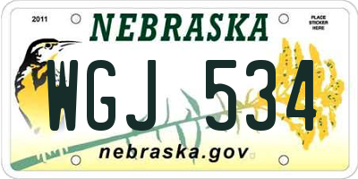 NE license plate WGJ534