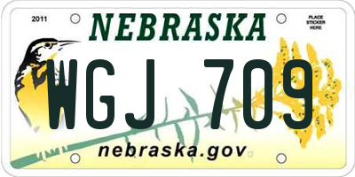NE license plate WGJ709