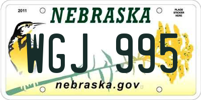 NE license plate WGJ995