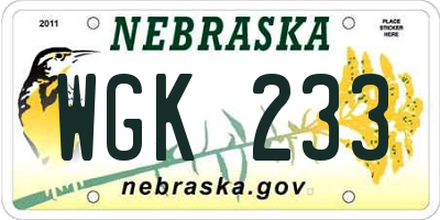 NE license plate WGK233