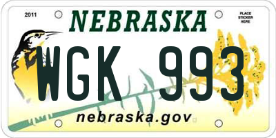 NE license plate WGK993