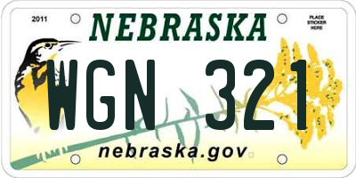 NE license plate WGN321