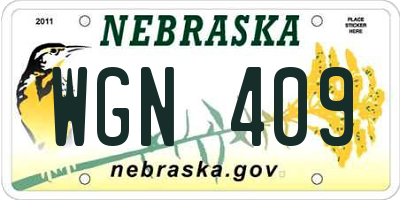 NE license plate WGN409