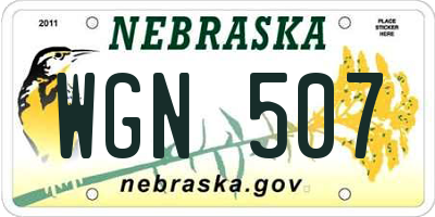 NE license plate WGN507