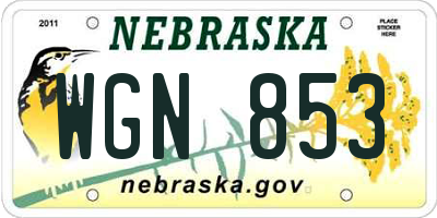 NE license plate WGN853