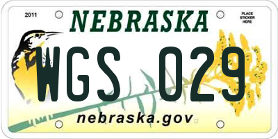 NE license plate WGS029