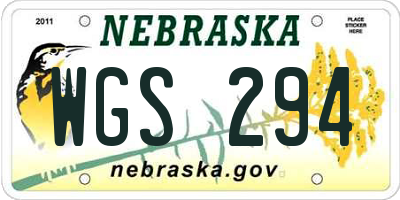 NE license plate WGS294