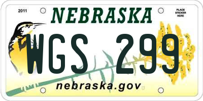 NE license plate WGS299