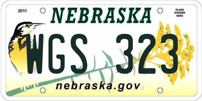 NE license plate WGS323